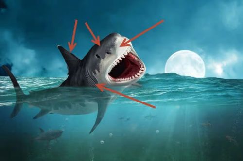 آموزش طراحی صحنه شکار کوسه در فتوشاپ